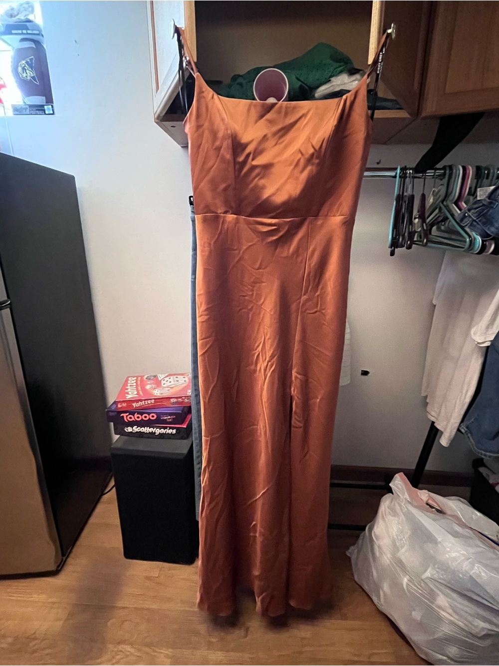 Birdy Grey Satin Slip Maxi Dress in Rust